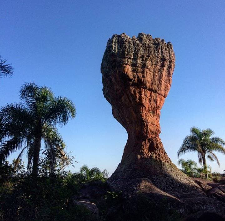 Lugar Parque Estadual de Vila Velha