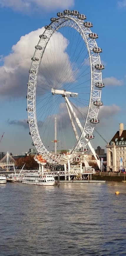 Place London Eye