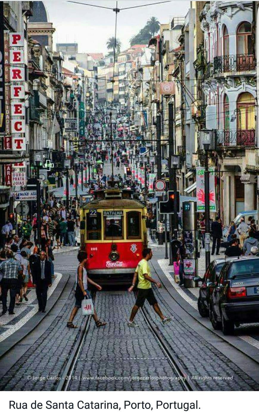 Lugar Rua de Santa Catarina