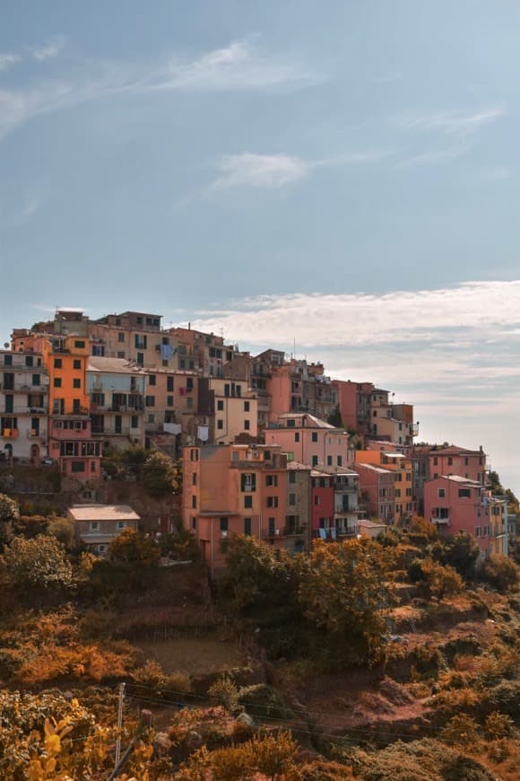 Restaurants Corniglia