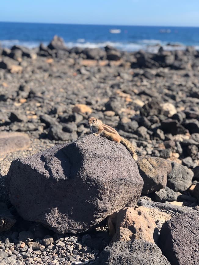 Lugar Fuerteventura