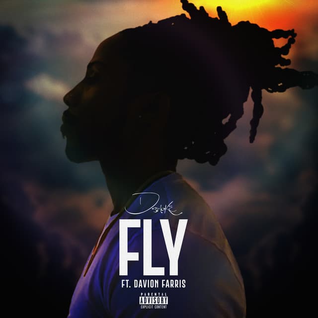 Canción Fly