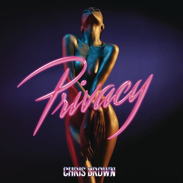 Canción Privacy