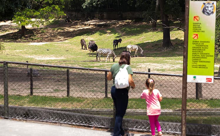 Lugar Zoológico de São Paulo