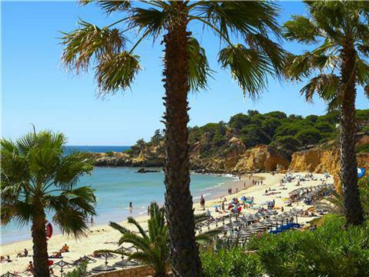 Place Praia santa Eulália 