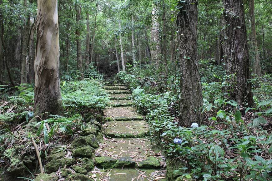 Lugar Mata da Serreta