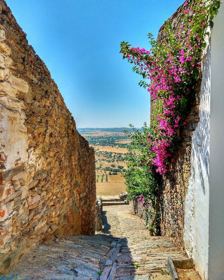 Lugar Castelo de Monsaraz