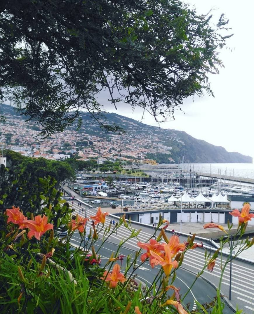 Place Funchal