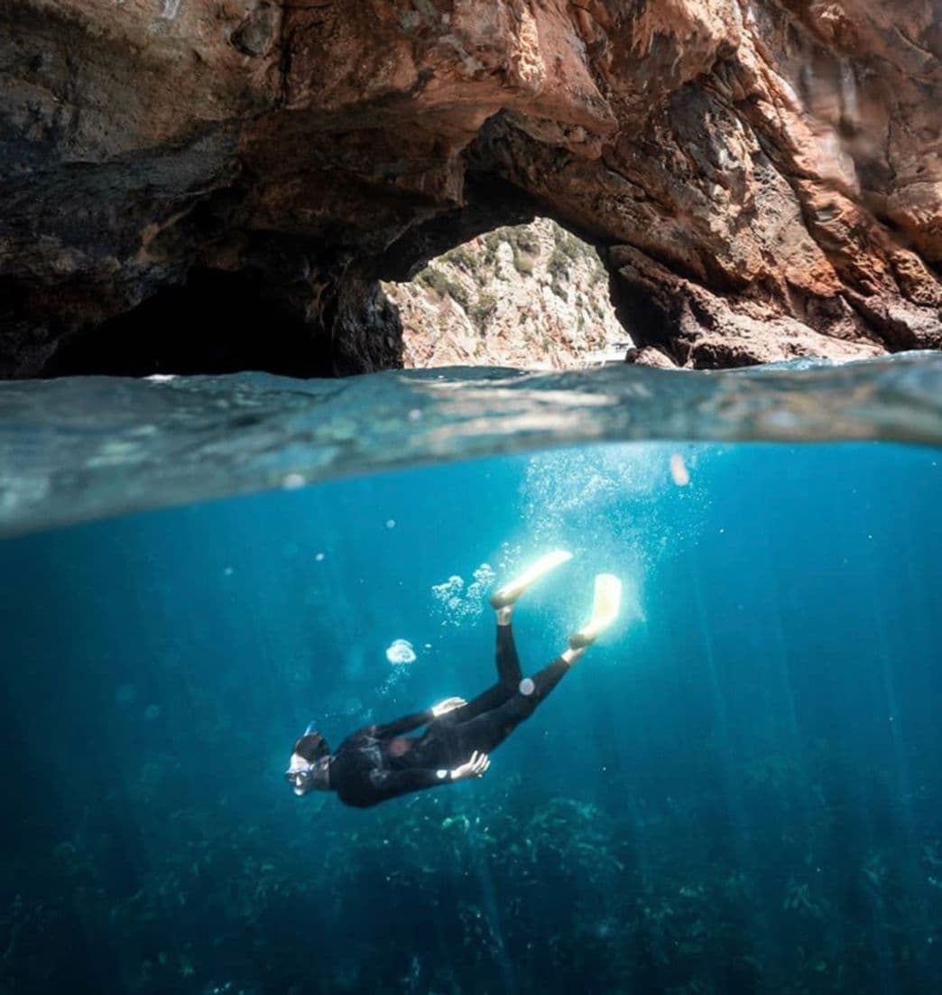 Lugar Poor Knights Islands