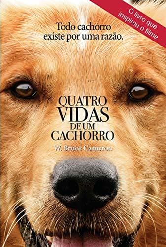 Book Quatro Vidas de Um Cachorro