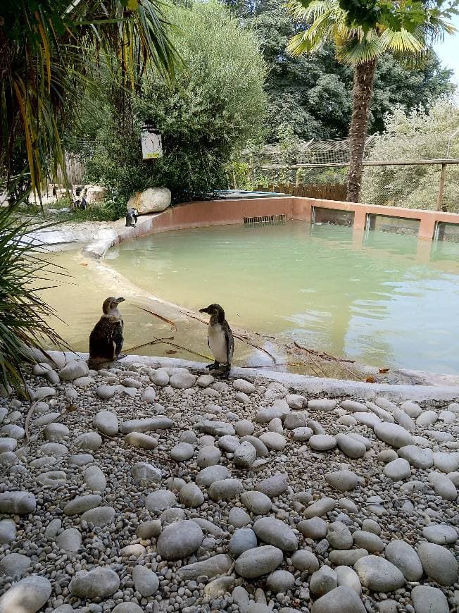 Lugar ZOO Santo Inácio