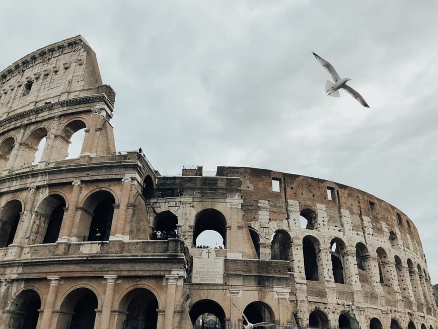 Lugar Coliseo de Roma