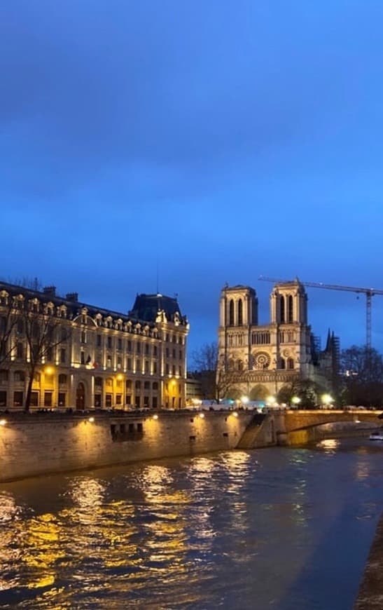 Place Catedral de Notre Dame