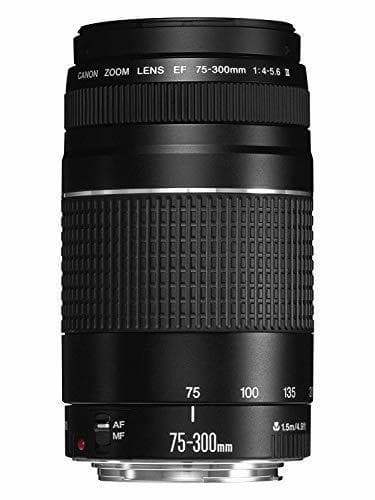 Electronic Canon EF 75-300mm f/4-5.6 III Objetivo para Canon