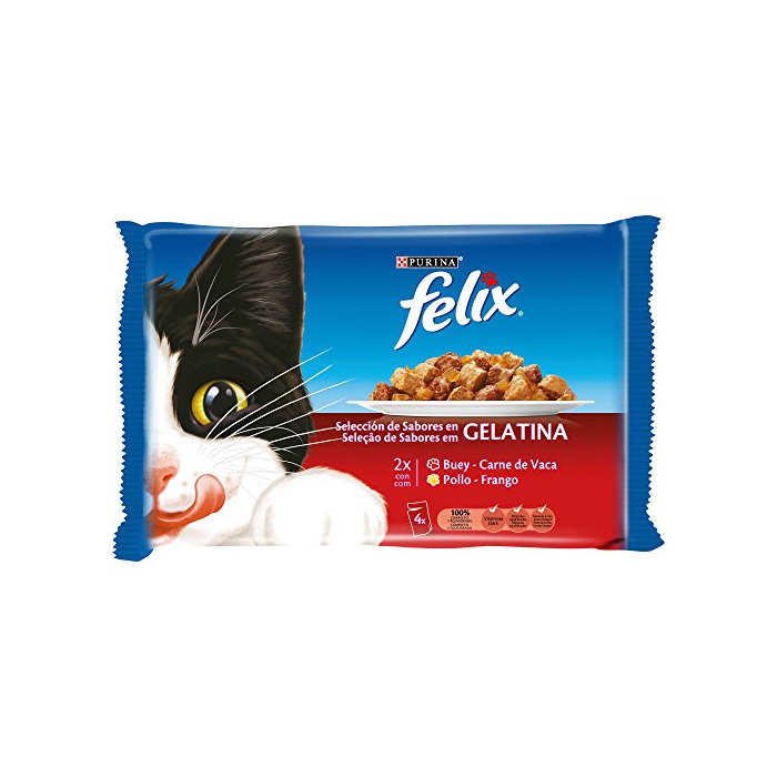 Product Purina Felix Gelatina comida para gatos con surtido de carnes 10 x