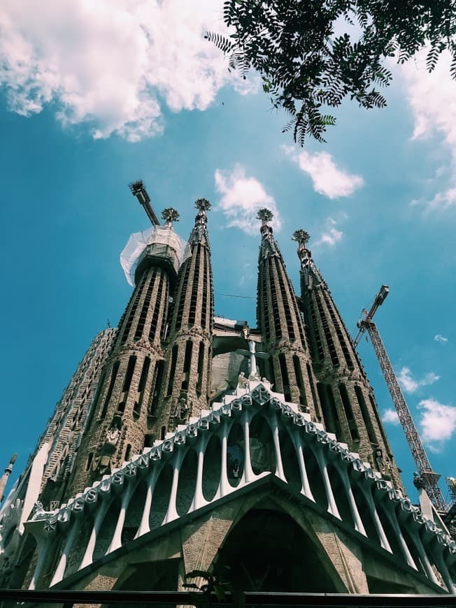 Lugar Basílica Sagrada Familia