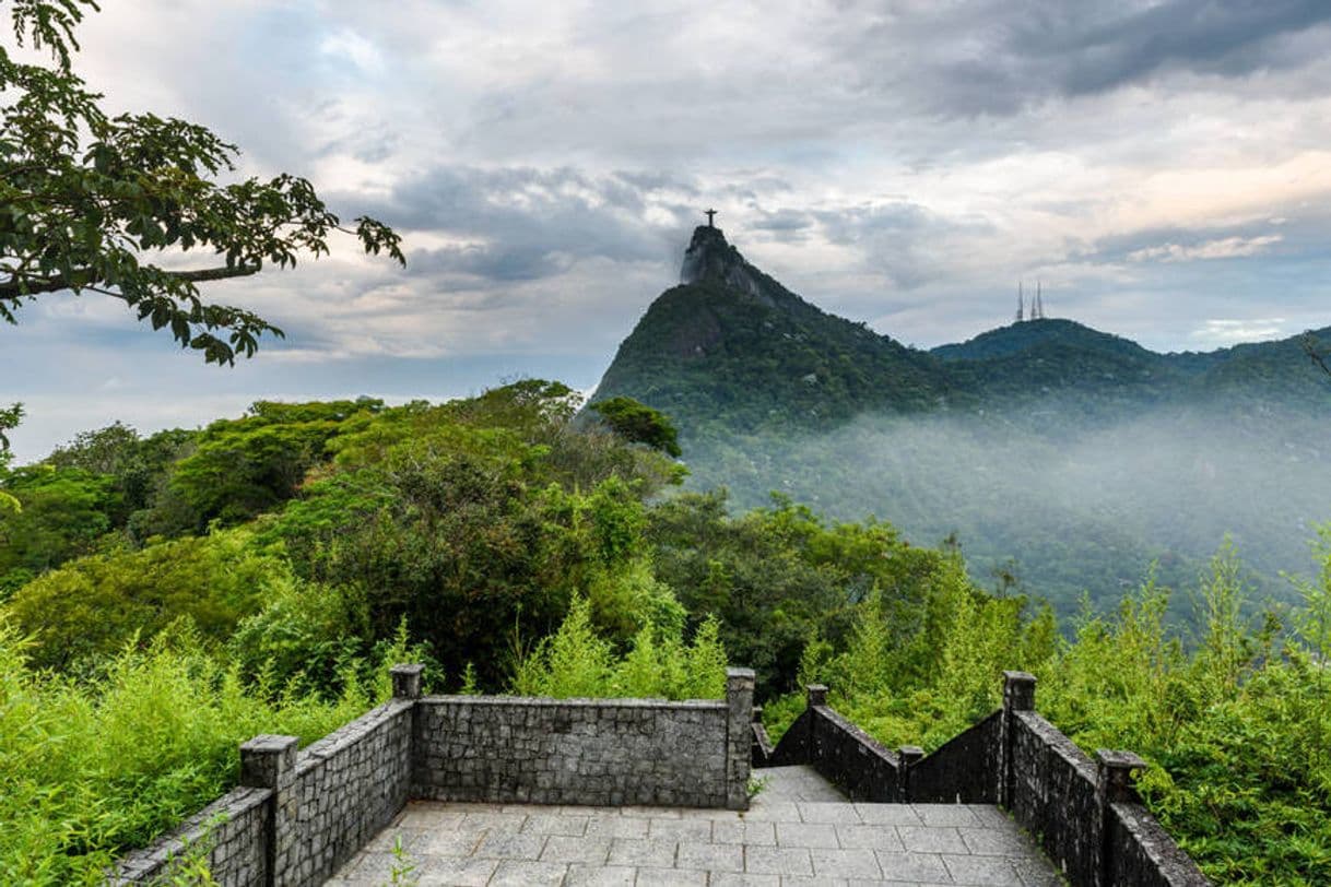 Place Tijuca National Park