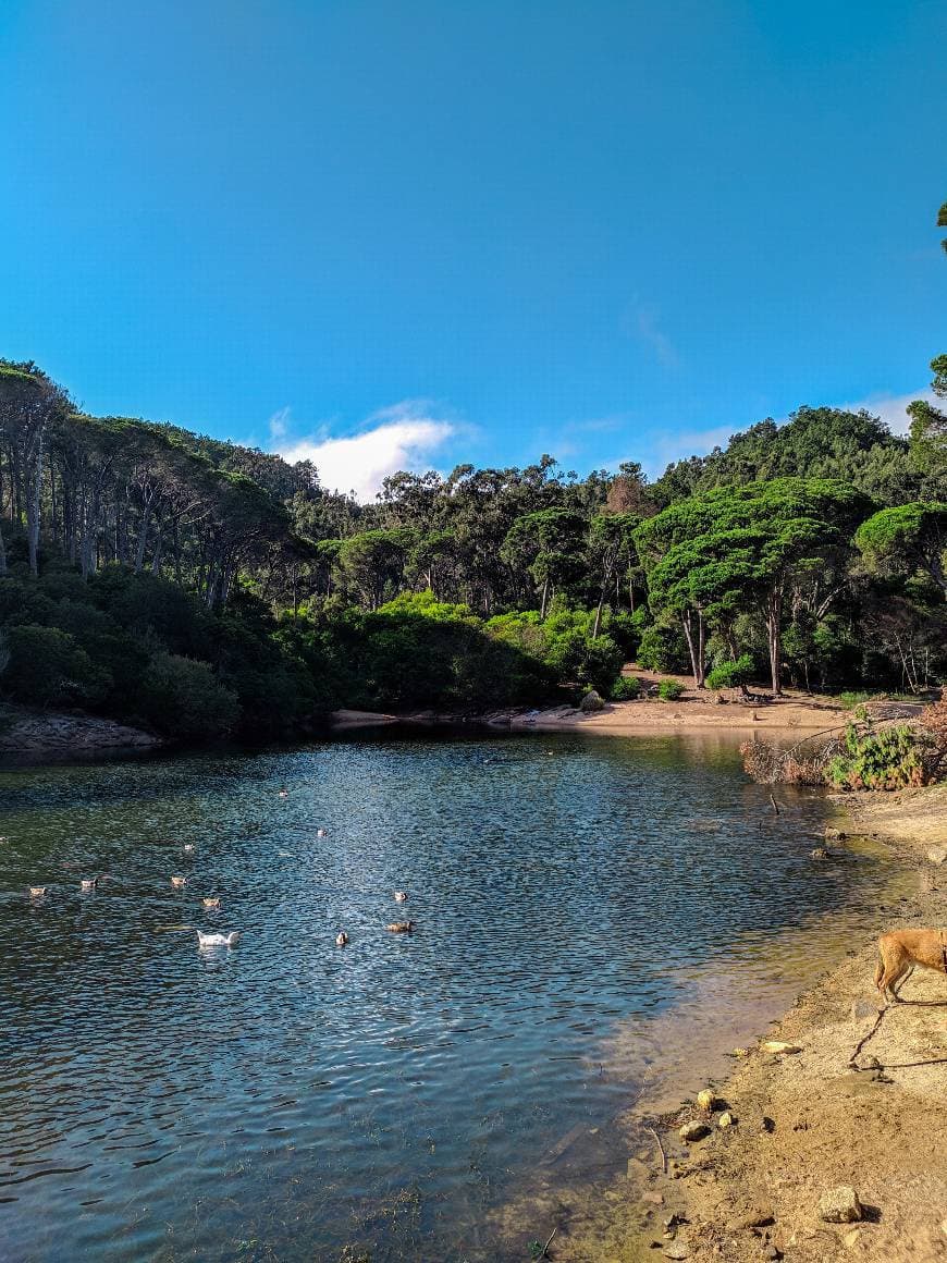 Place Lagoa Azul