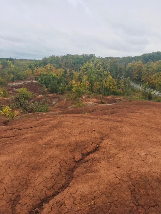 Place Cheltenham Badlands