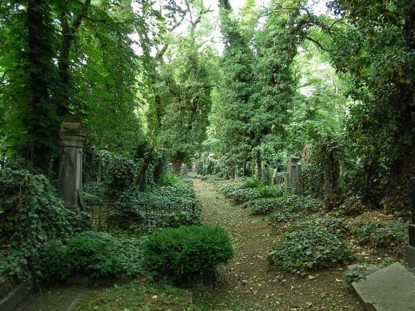 Place Olšany Cemetery