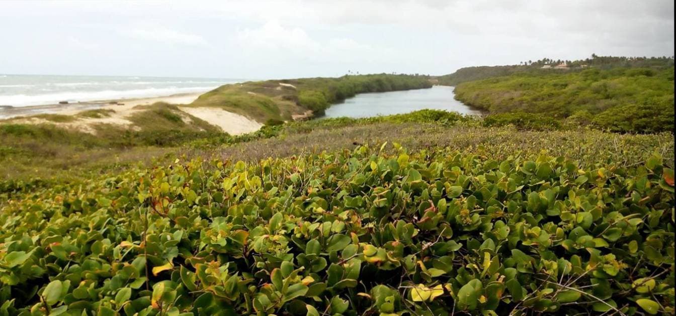 Lugar Dunas de Marapé