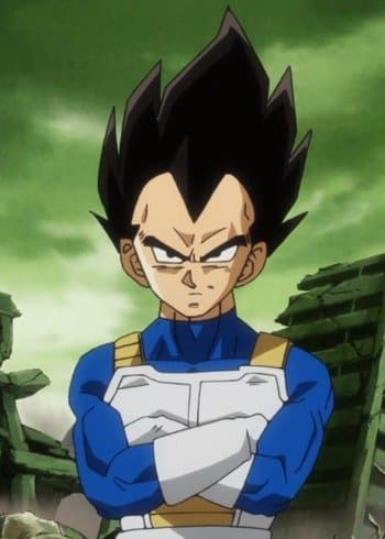 Fashion Vegeta!