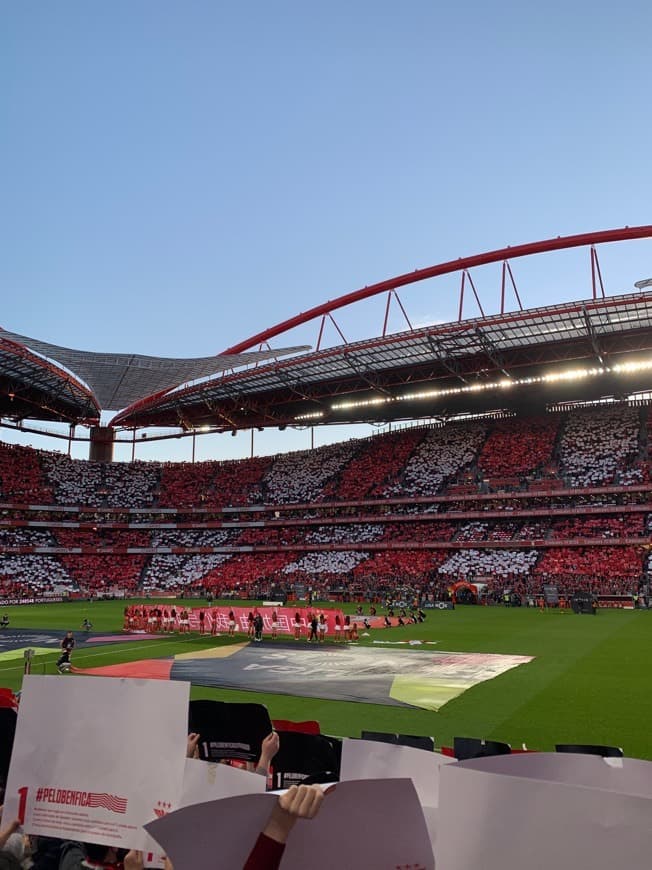 Place Estádio Sport Lisboa e Benfica