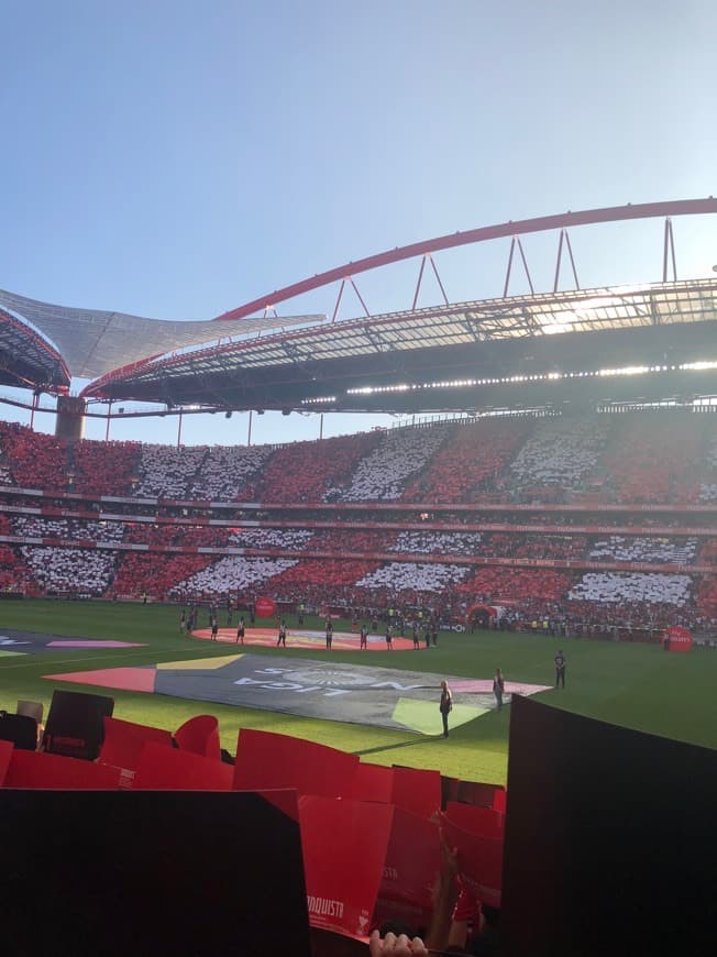 Place Estadio da Luz entrada