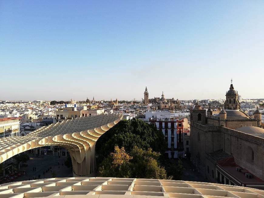 Place Setas de Sevilla