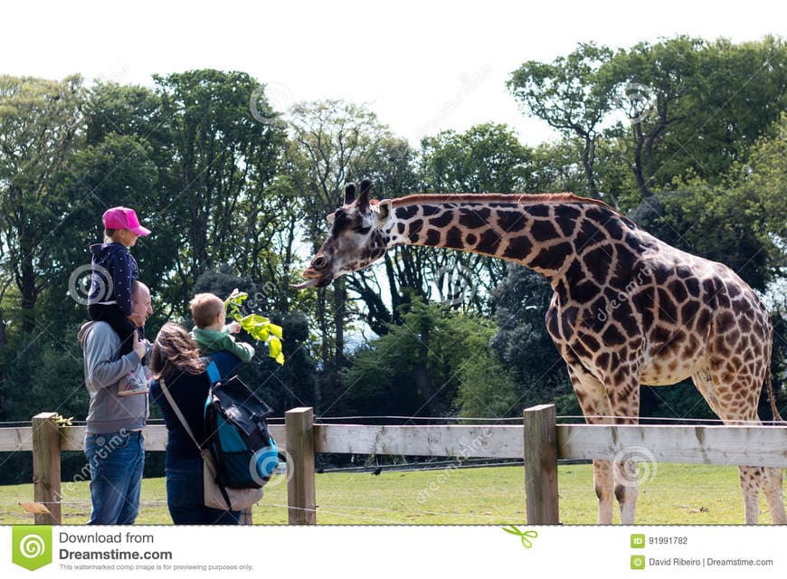 Lugar Fota Wildlife Park