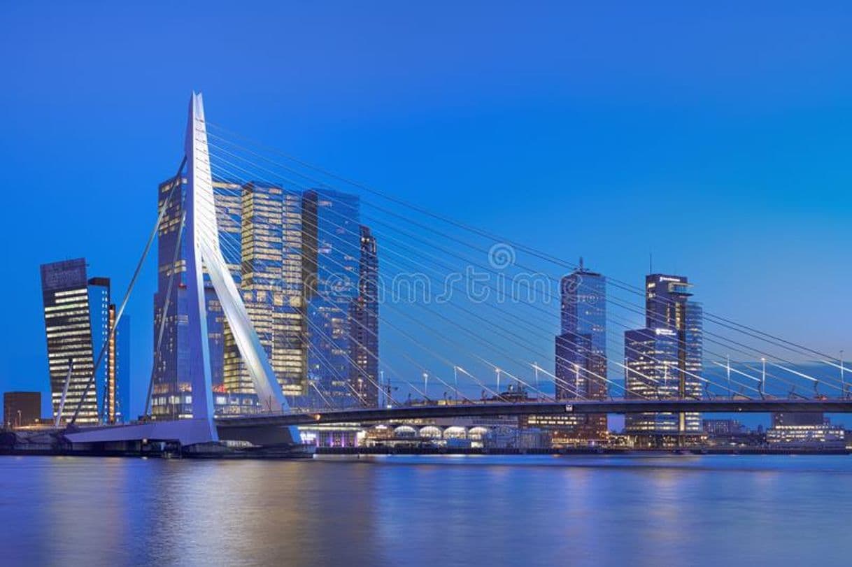 Place Erasmusbrug