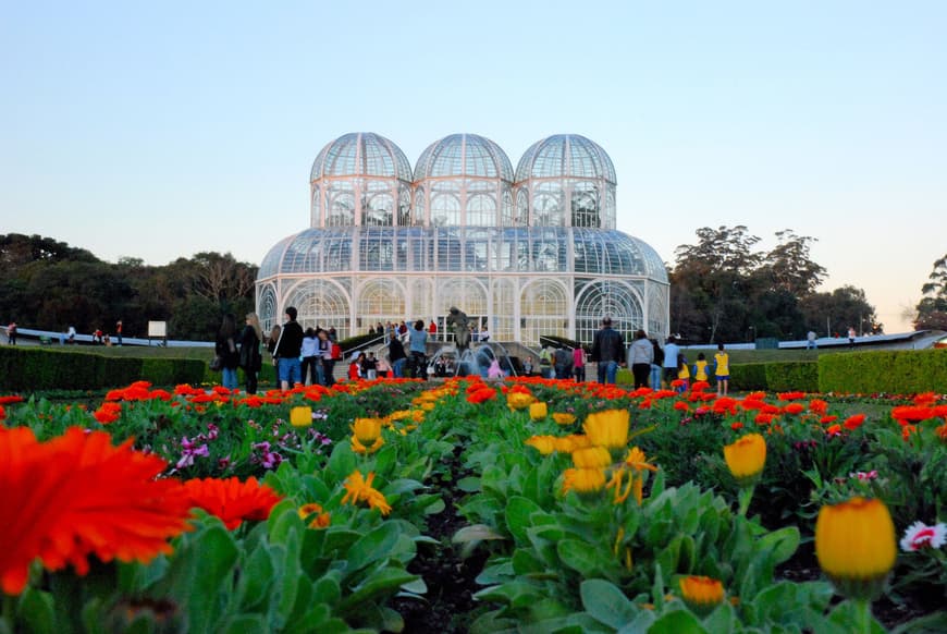 Lugar Jardim botânico 