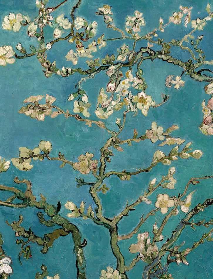 Moda Amendoeira em flor - Van Gogh 