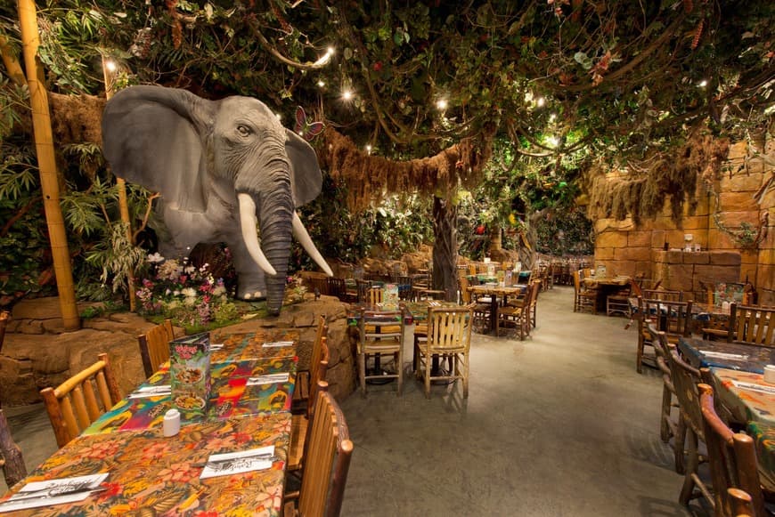 Restaurants Rainforest Café