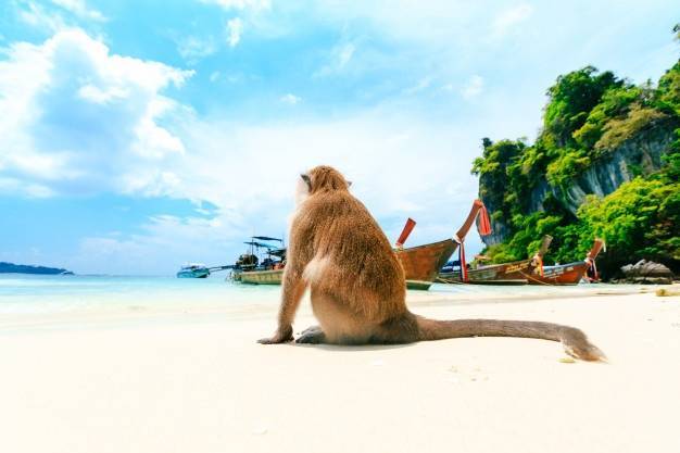 Lugar Monkey Beach