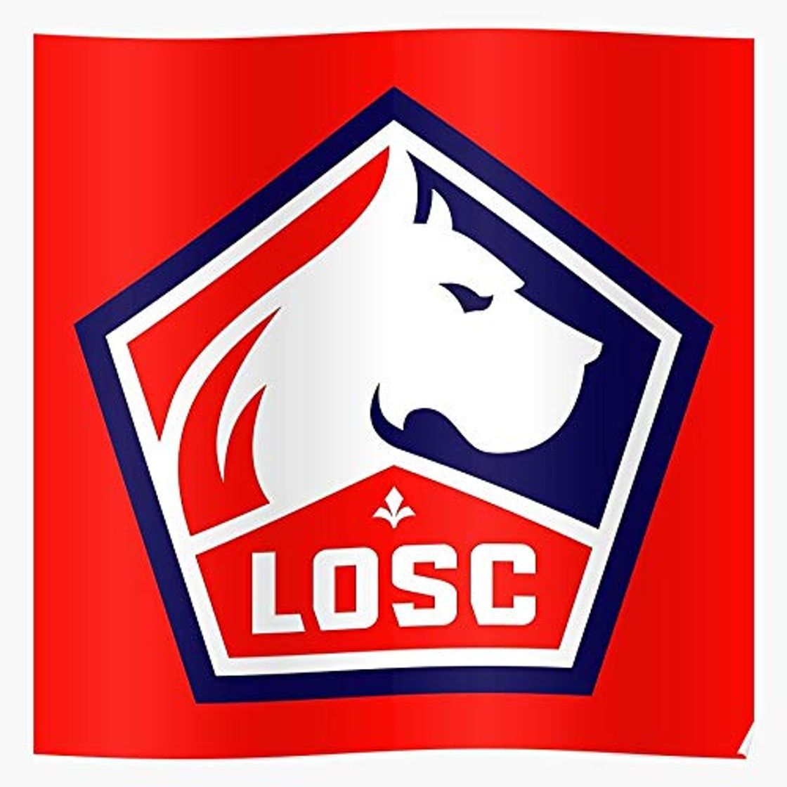 Product Dog Losc Olympique Lys Sporting Pierre Dogue De Mauroy Lille Fleur Stade El mejor y más nuevo póster para la sala de decoración del hogar de arte de pared