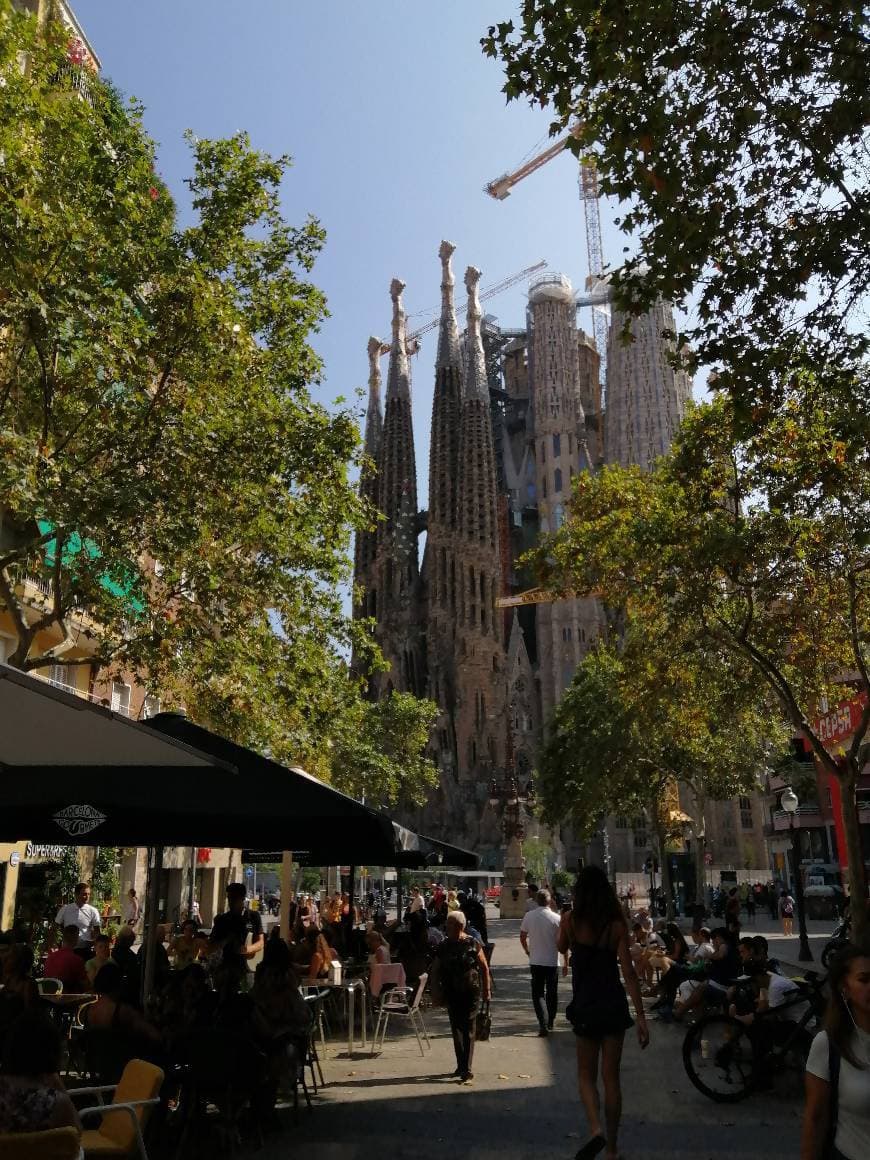 Lugar Basílica Sagrada Familia