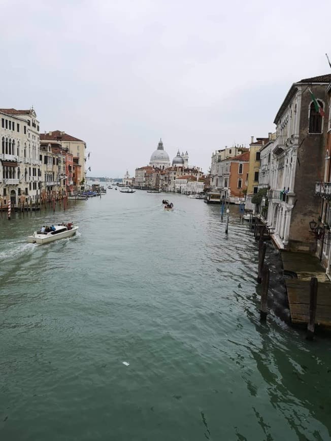 Lugar Gran Canal de Venecia