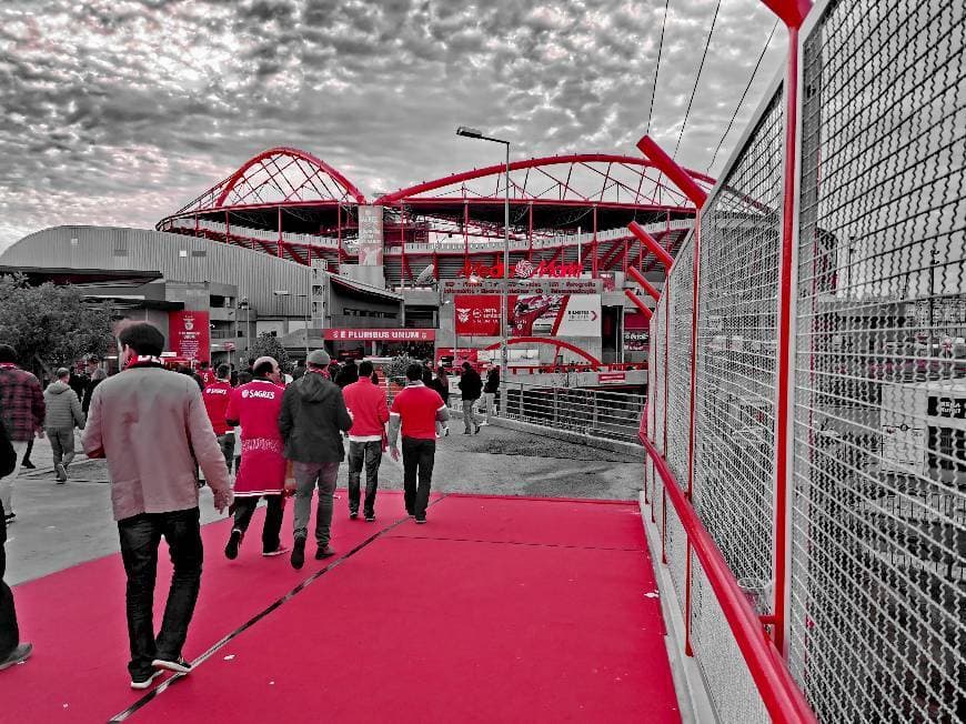 Lugar Estádio Sport Lisboa e Benfica