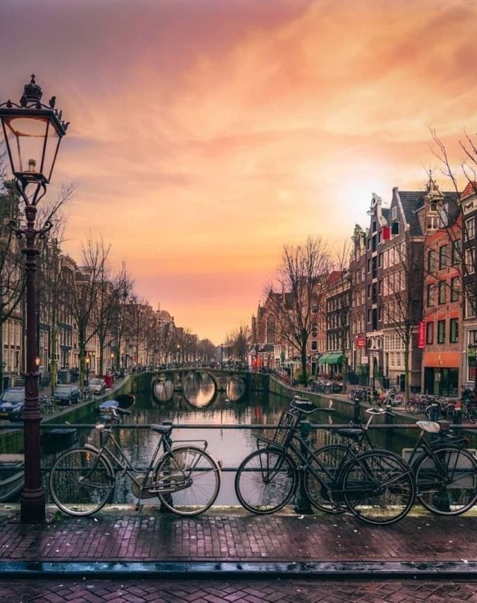 Place Amsterdam