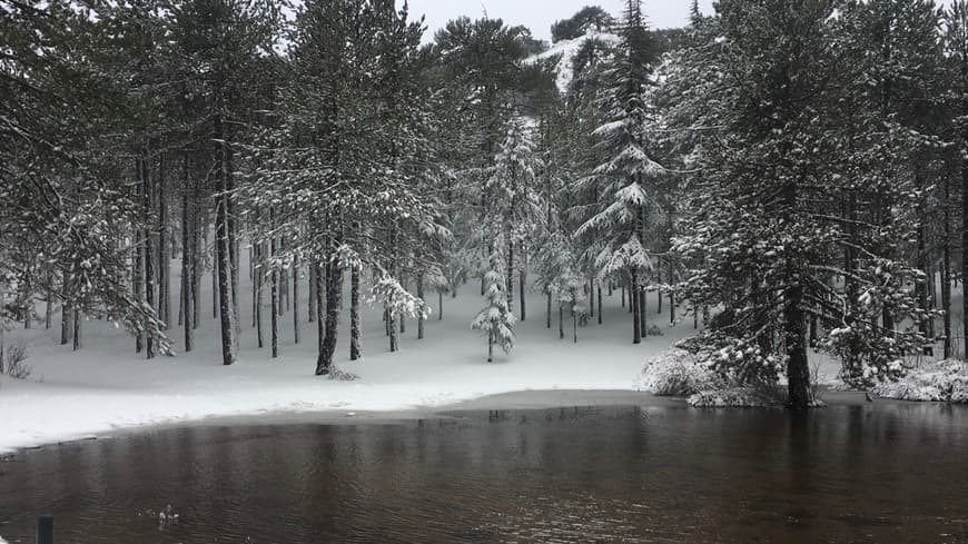 Lugar Troodos Mountains