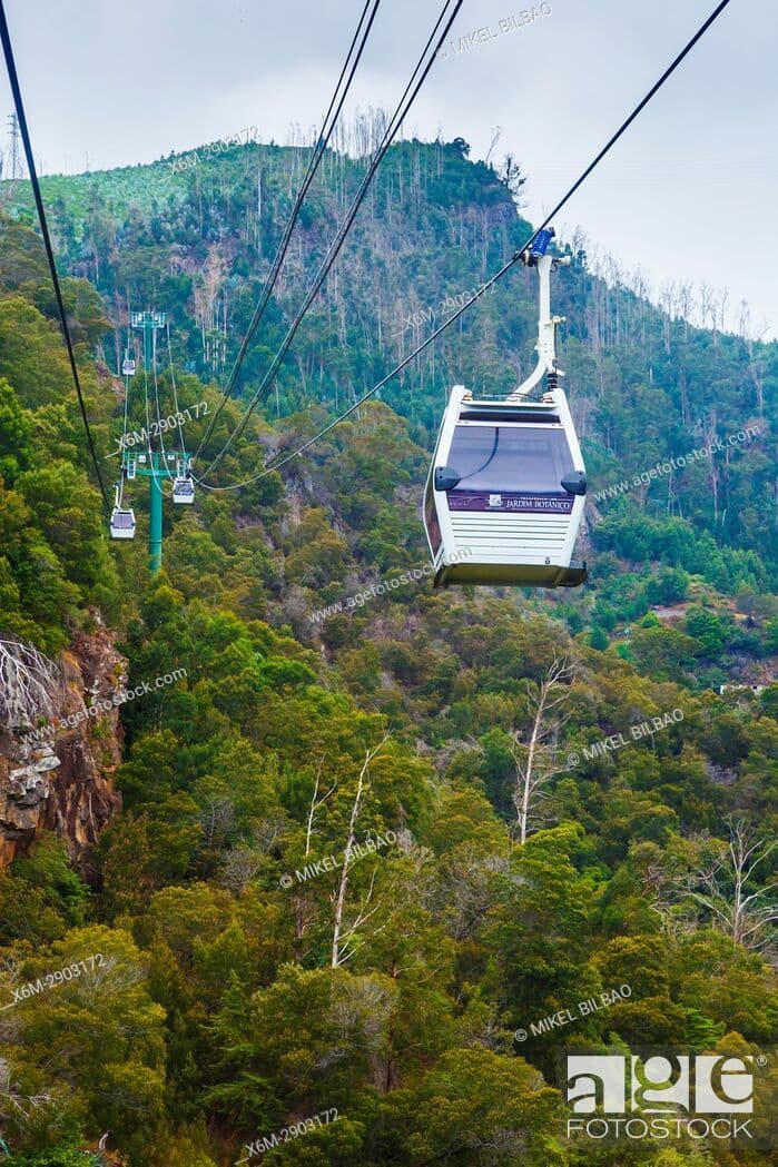 Lugar Teleférico do Jardim Botânico