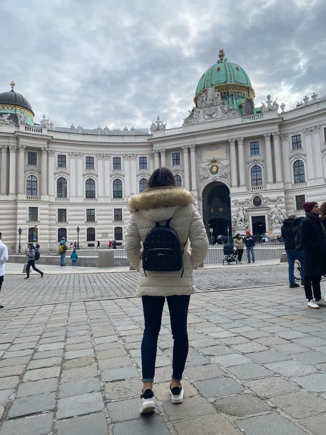 Lugar Hofburg Palace Silver Collection of Vienna