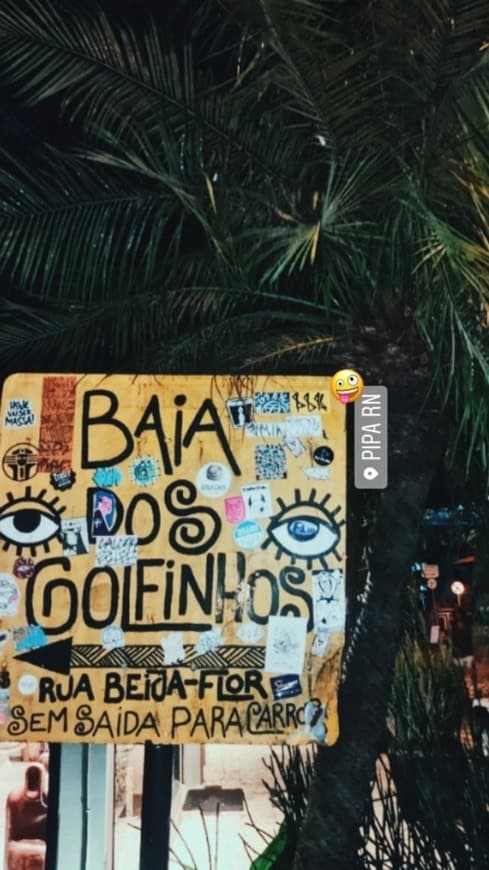 Place Baía dos Golfinhos