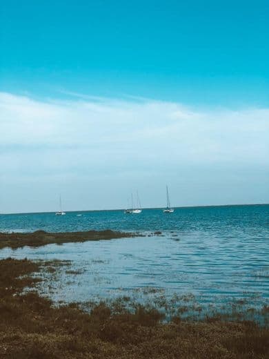 Lugar Ria Formosa Natural Park