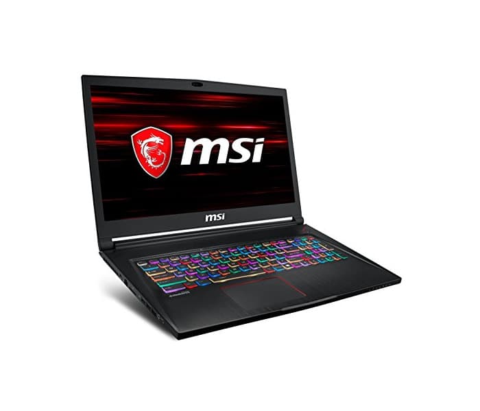 Electronic MSI GS73 Stealth 8RD-006XES - Ordenador portátil gaming ultrafino 17.3" FullHD 120Hz(Intel