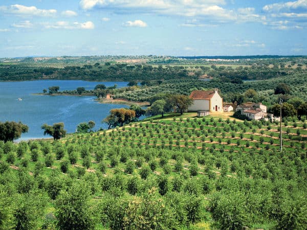 Lugar Alentejo