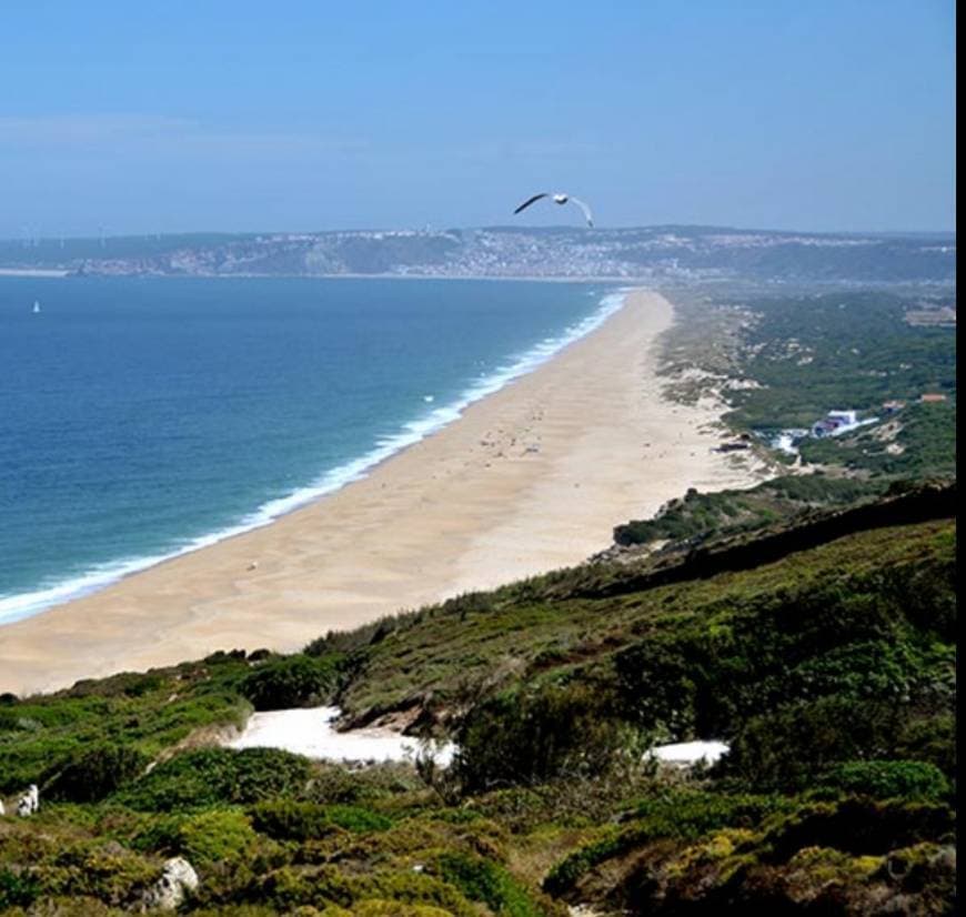 Lugar Praia do Salgado