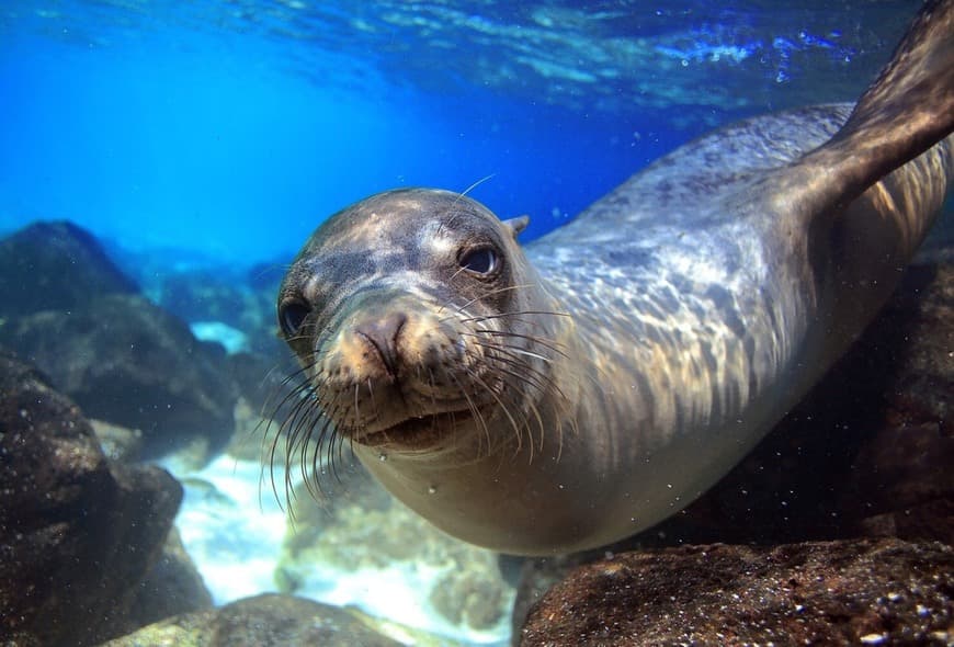 Lugar Galapagos Islands