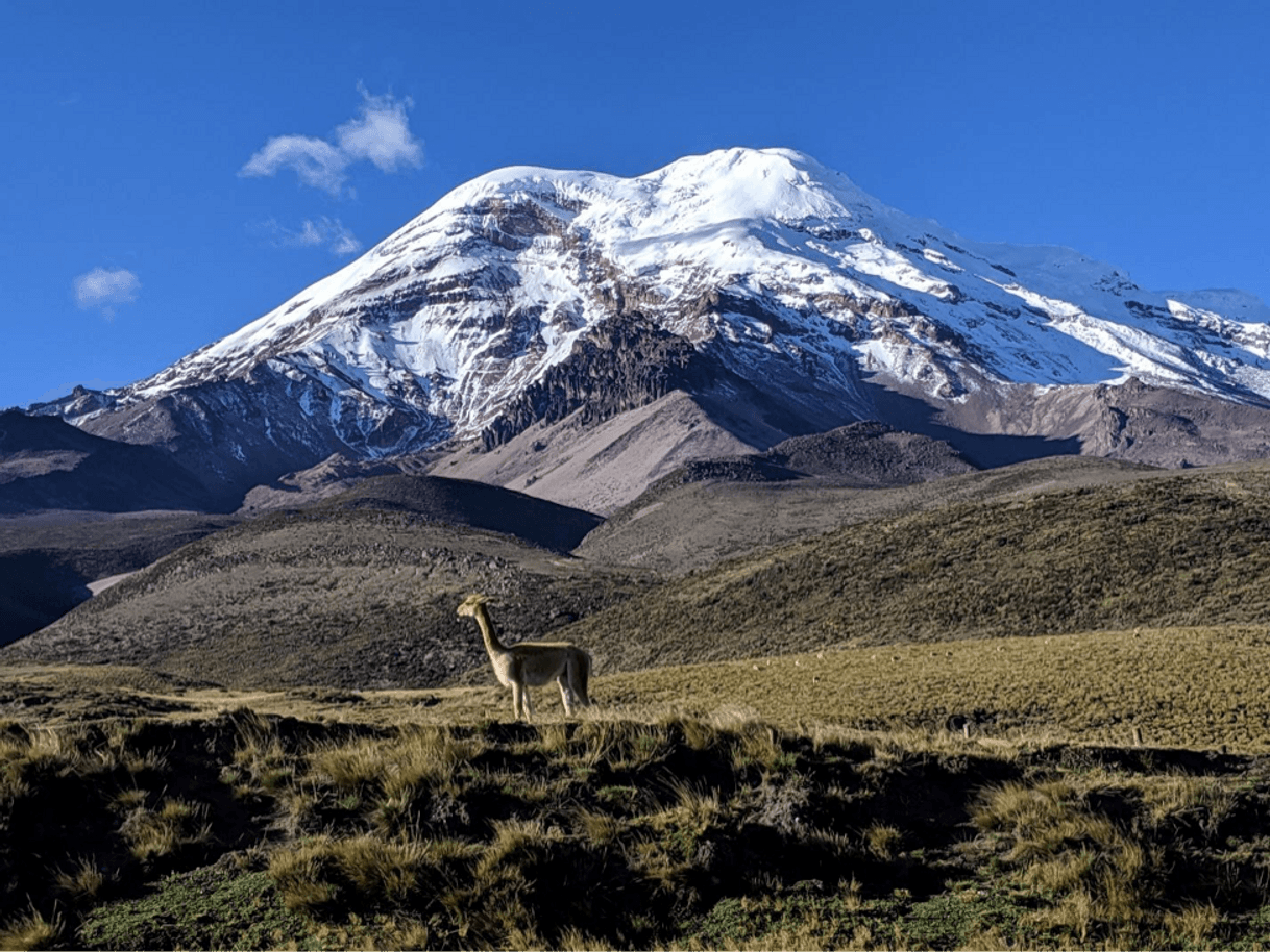 Place Chimborazo